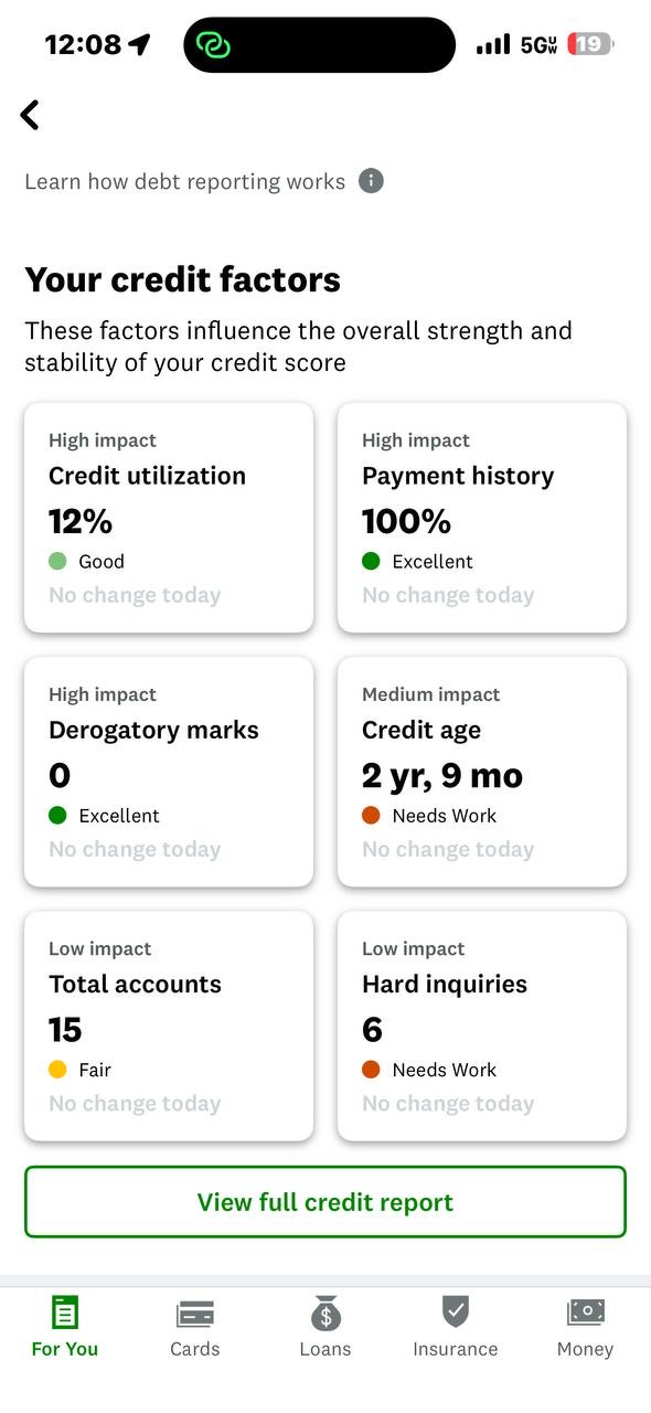 Credit factors showing 100% payment history and zero derogatory marks
