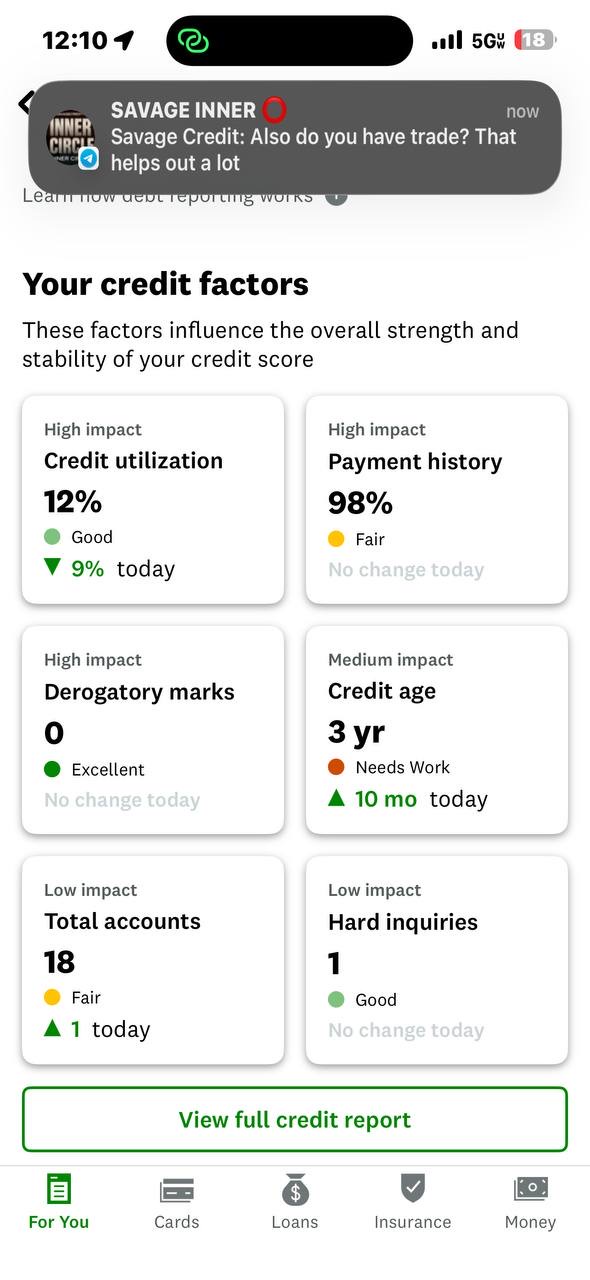 Credit factors showing 98% payment history and zero derogatory marks